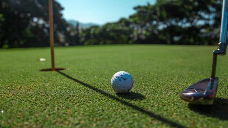 Artificial Grass Benefits for Homes and Businesses